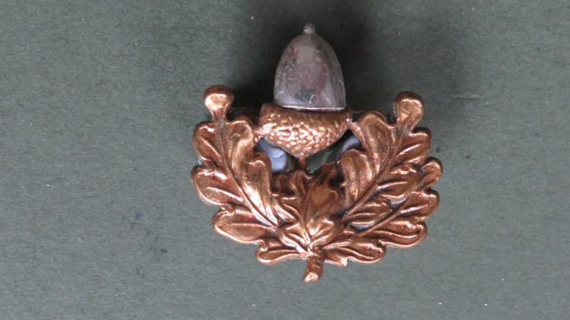 British Army Post WW2 The Cheshire Regiment Collar Badge