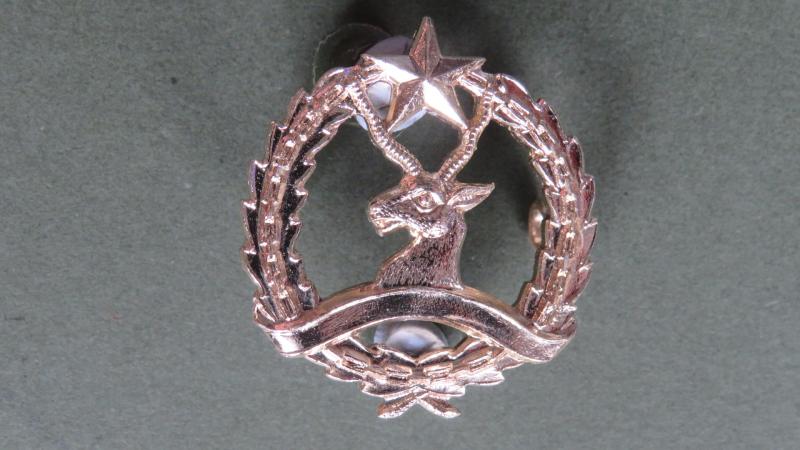 Somalia Army / Government Forces Beret Badge