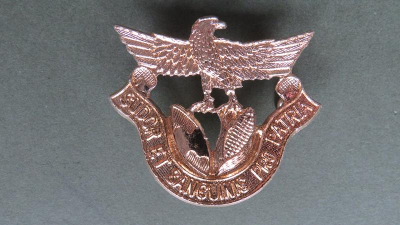 Zambia Air Force Hat Badge