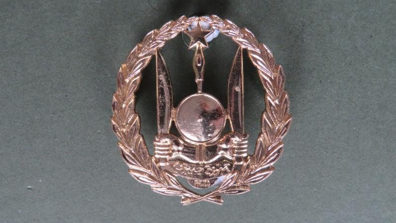 Djibouti Army Cap Badge