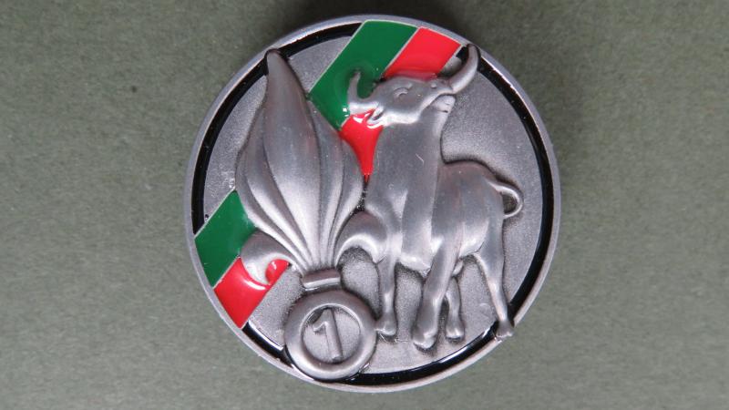 France Foreign Legion 1° Régiment Etranger de Génie, Compagnie d'Appui (Support Company) Pocket Crest