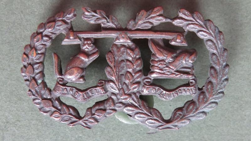 British Army The Argyll and Sutherland Highlanders Officers Service Dress Collar Badge