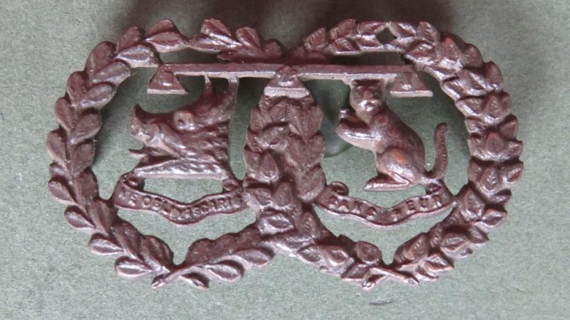 British Army The Argyll and Sutherland Highlanders Officers Service Dress Collar Badge