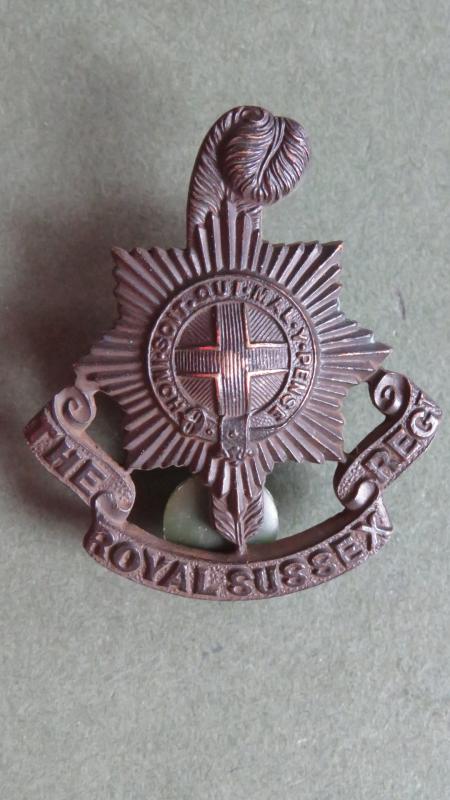 British Army The Royal Sussex Post 1903 Officers Service Dress Collar Badge