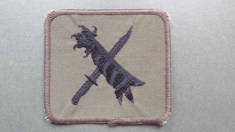 Royal Air Force Regiment 48 Squadron (Disbanded) Shoulder Patch
