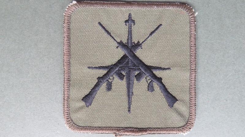 Royal Air Force Regiment 16 Squadron (Disbanded) Shoulder Patch