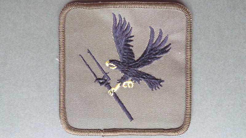 Royal Air Force Regiment 66 Squadron (Disbanded) Patch