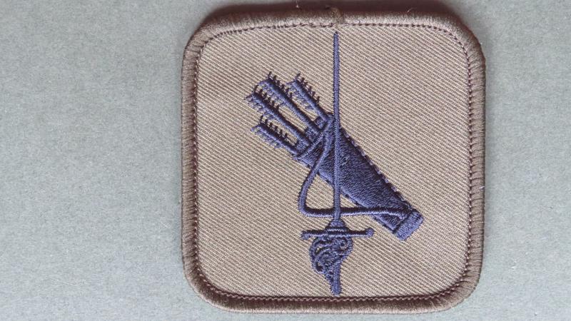 Royal Air Force Regiment No4 Protection Wing Shoulder Patch