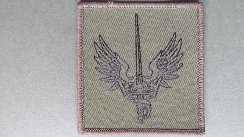 Royal Air Force Regiment No20 Wing (Force Protection) Shoulder Patch