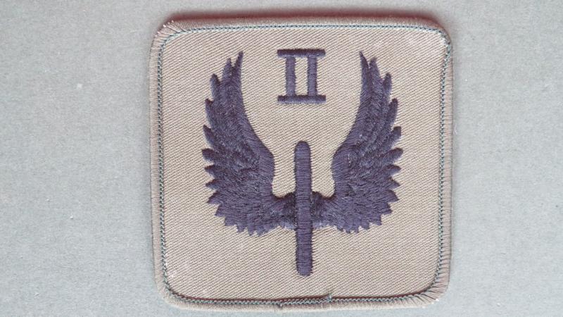 Royal Air Force Regiment 2nd (Parachute) Squadron Shoulder / DZ Patch