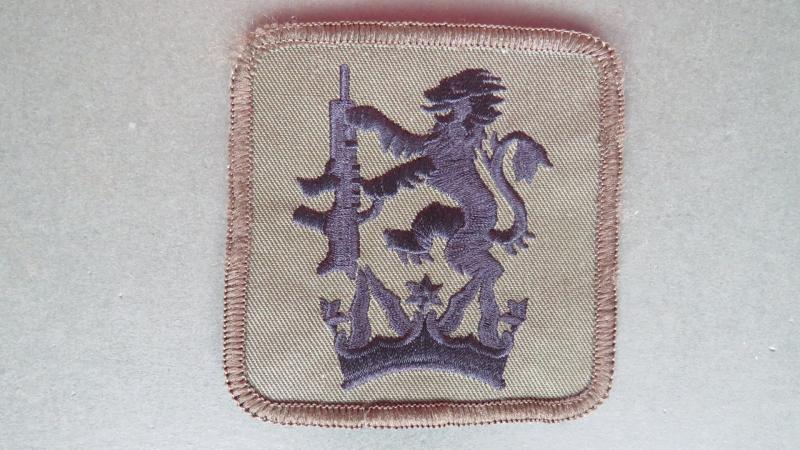 Royal Air Force Regiment 
