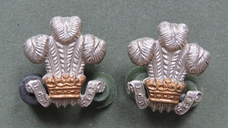 British Army The Royal Wiltshire Yeomanry (Prince of Wales's Own) Collar Badges