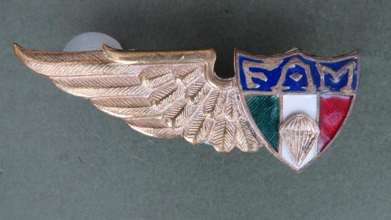 Mexico Student Parachute Wings