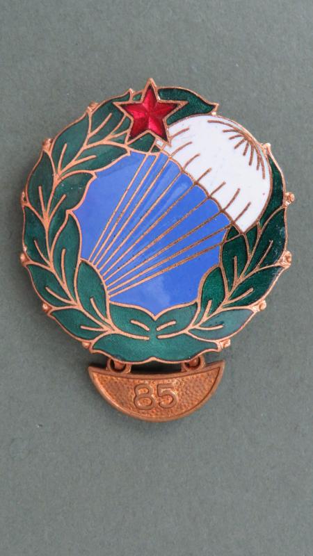 Hungary Pre 1991 Basic Parachute Badge with 85/90 Jump Hanger