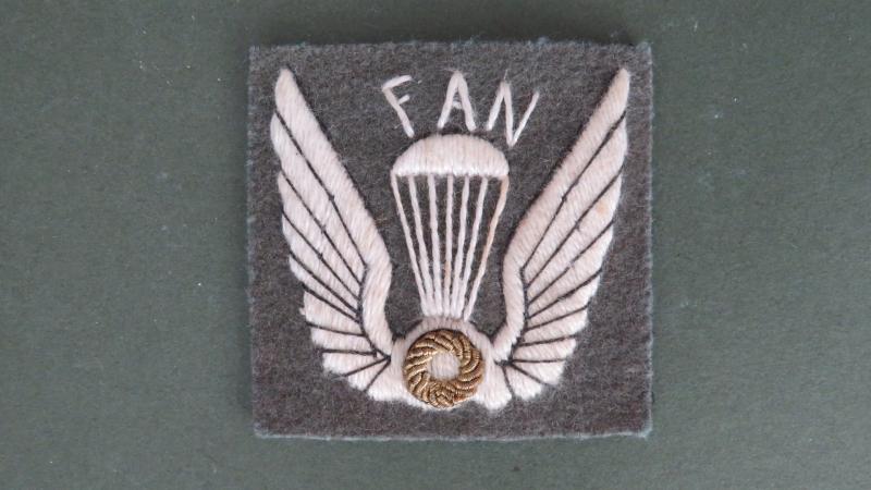 Nicaragua Air Force Parachute Wings