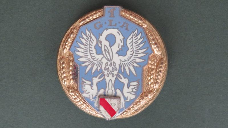 France 1 G.L.A. (Air Delivery Group) Pocket Crest