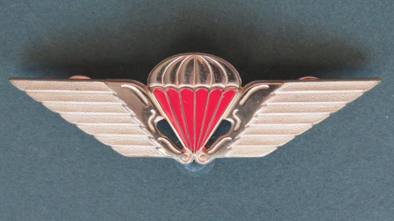 Denmark Dress Uniform Free Fall Parachute Wings