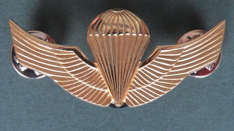 Chile Marine Corps Basic Parachute Wing