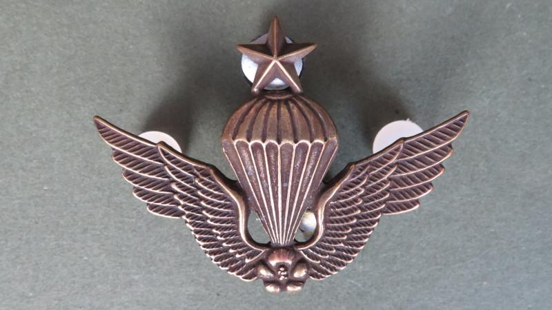 Republic of Korea Army Senior Parachute Wings