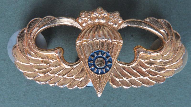 Republic of China Master Parachute Wings