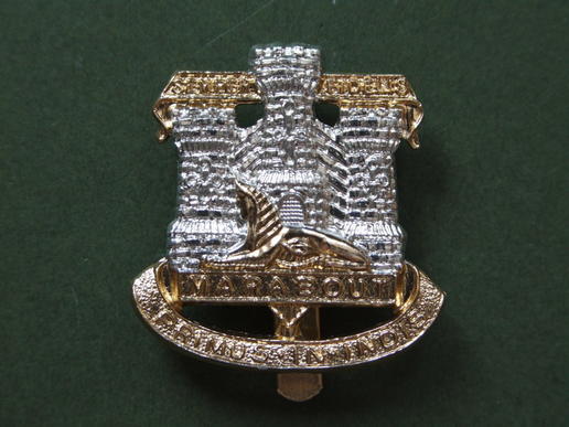 British Army The Devonshire & Dorset Regiment Cap Badge