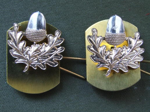 British Army Cheshire Regiment Collar Badges