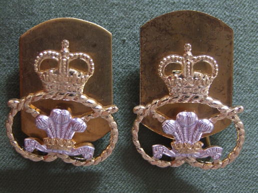 British Army Staffordshire Regiment Collar Badges