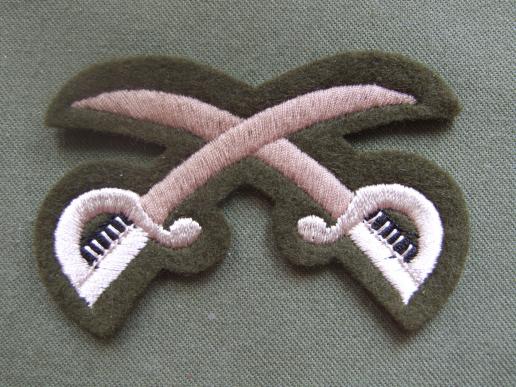British Army Guards Division Army Physical Training Instructor Badge
