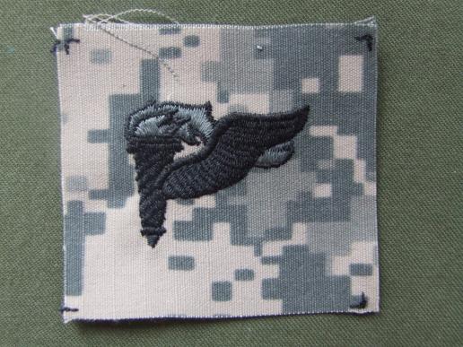 USA ACU Digital Cam Airborne Pathfinder Patch 