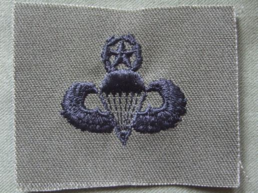 USA Army Master Parachute Wings