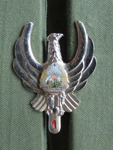 Romania Air Force 1965-1989 Navigator 1st Class Award Badge 