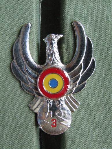 Romania Air Force Current Issue Air Signaller / Communications 3rd Class Award Badge 