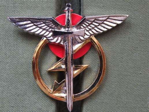 Czech Republic Air Force Radio Operator / Signallers Award Badge