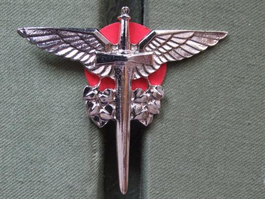 Czech Republic Air Force Air Traffic Controller Award Badge 