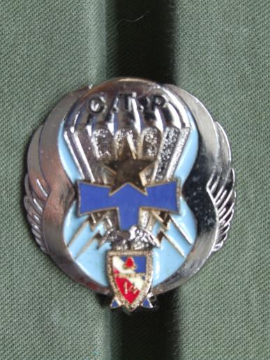 France 14 R.P.C.S. (Support & Command Parachute Regiment) C.T.P. (Parachute Transport Company) Pocket Crest