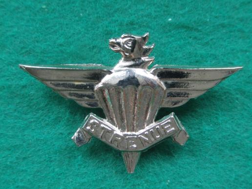 Republic of South African 3rd Parachute Battalion Cap Badge