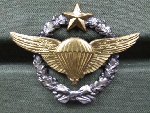 France Air Force Parachute Wings 