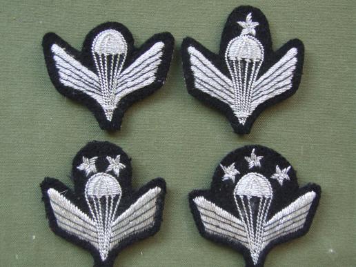 Afghanistan set of 4 1st Series Parachute Dress Wings