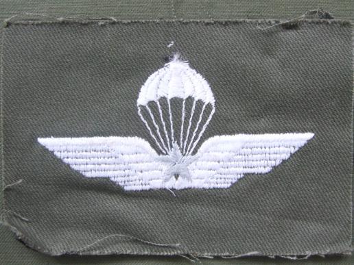 Italy Army Parachute Wings