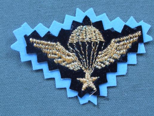 Iran Basic Parachute Wings