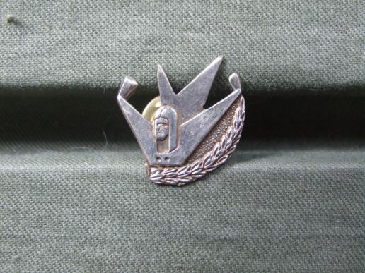 Israel Freefall Parachute Qualification Badge