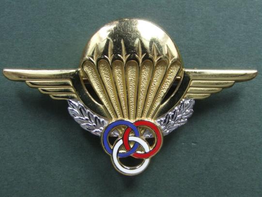 France Parachute Instructor Wings