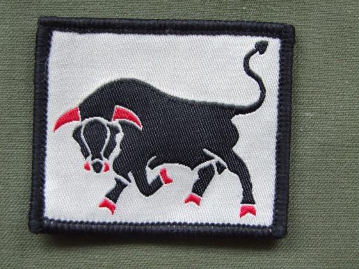 British Army 11th Infantry Brigade TRF Patch 