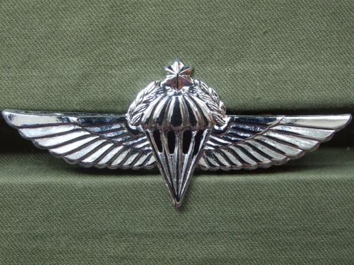 Israel Defence Force Advanced Parachute Wings
