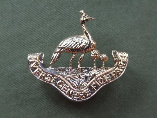 Zambia Regiment Collar Badge