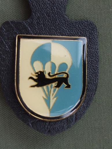 Germany 313th Airborne Battalion Pocket Crest