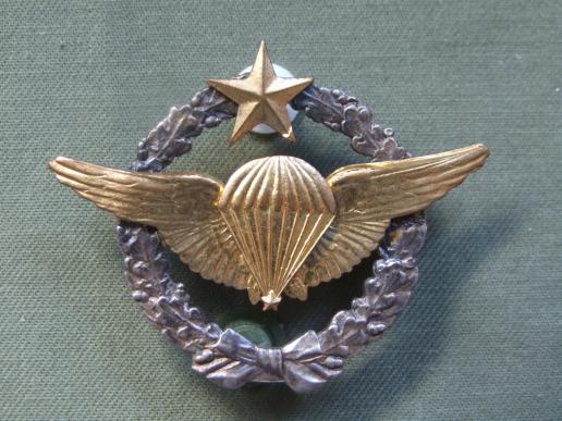 France Air Force Parachute Wings 