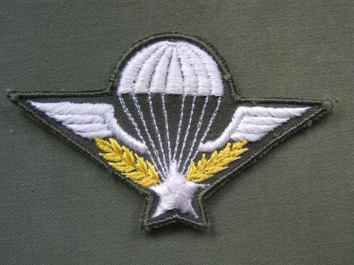 France Army Basic Parachute Wings  