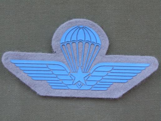 Italy Army Parachute Wings