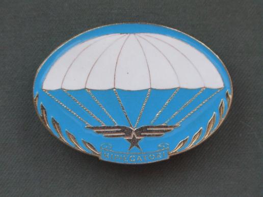 Italy Rigger Parachute Badge